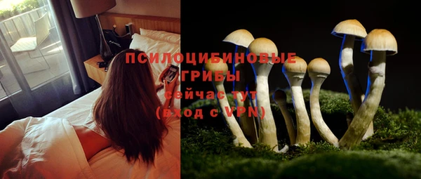 каннабис Гусиноозёрск