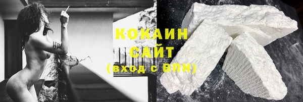 индика Гусь-Хрустальный