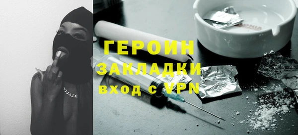 амф Гусев