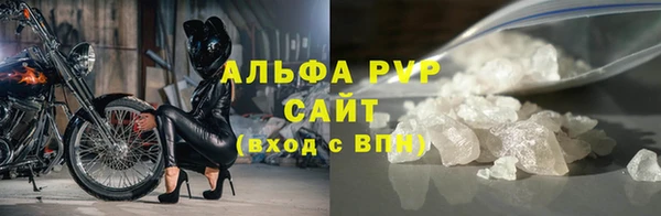 индика Гусь-Хрустальный