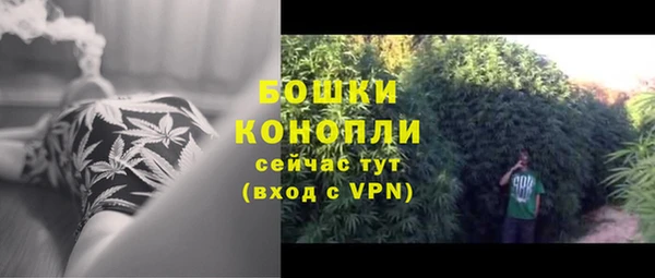 каннабис Гусиноозёрск