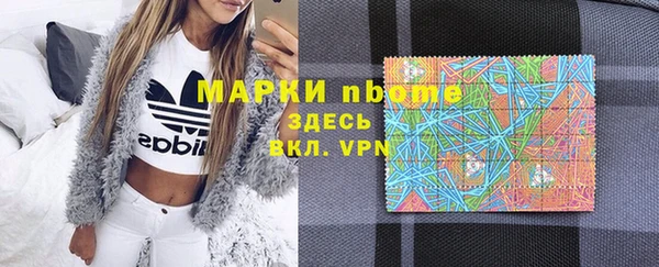 индика Гусь-Хрустальный