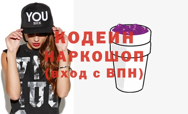 амф Гусев