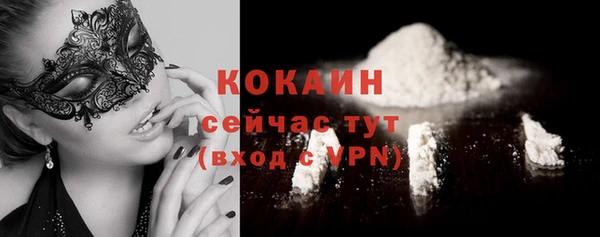 амф Гусев