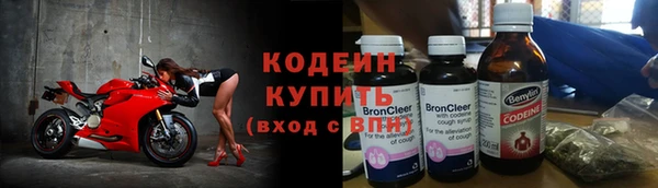 амф Гусев