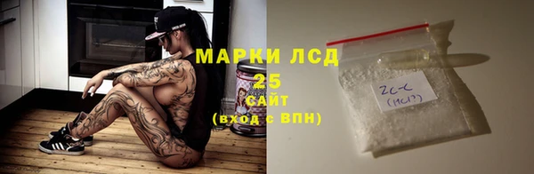 амф Гусев