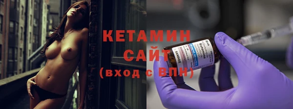 индика Гусь-Хрустальный