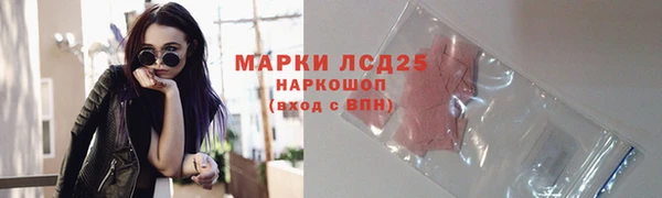 амф Гусев