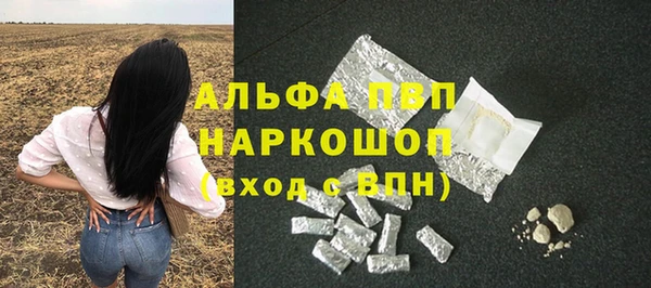 индика Гусь-Хрустальный