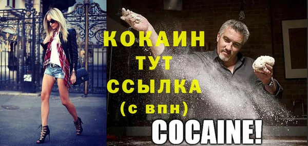 амф Гусев