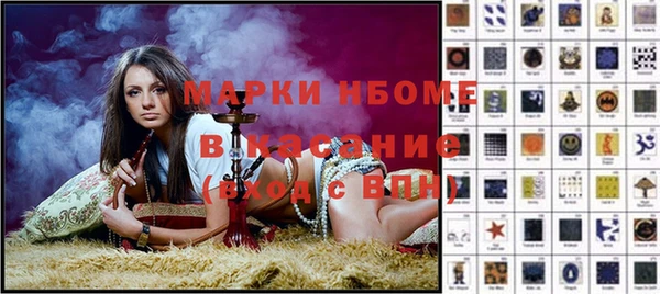 индика Гусь-Хрустальный