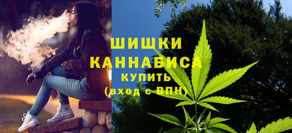амф Гусев