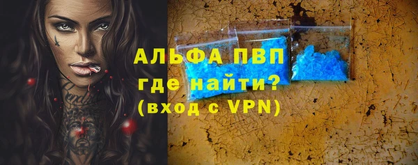 индика Гусь-Хрустальный