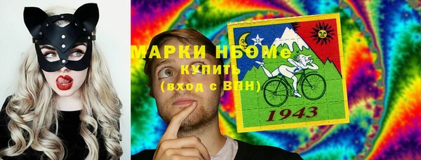 индика Гусь-Хрустальный