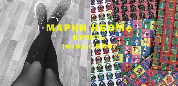 индика Гусь-Хрустальный