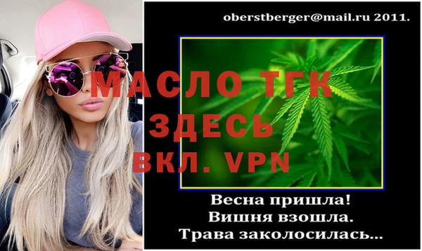индика Гусь-Хрустальный