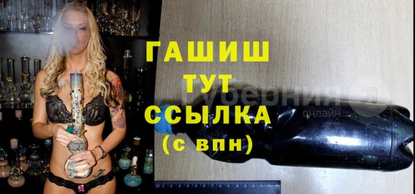 амф Гусев