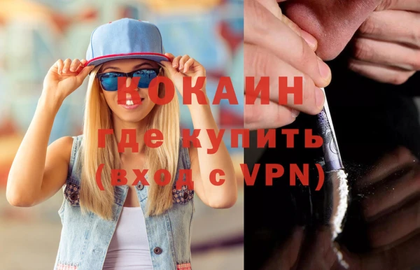 индика Гусь-Хрустальный