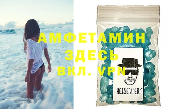 индика Гусь-Хрустальный