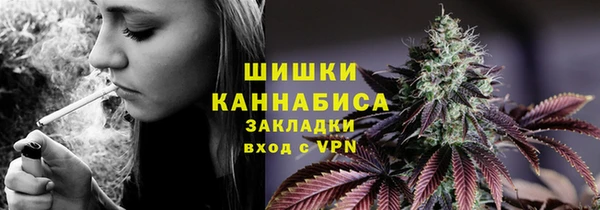 индика Гусь-Хрустальный