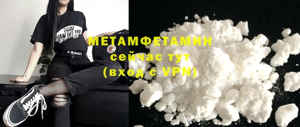 амф Гусев